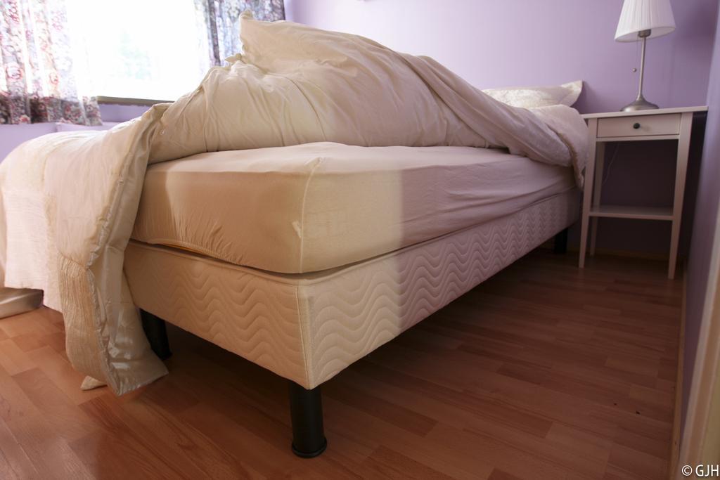 Apartment Tungata Seythisfjorthur Ngoại thất bức ảnh